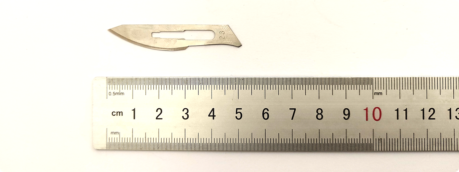 局部截取_20260108_153958 局部截取_20260108_153958