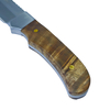 Custom 8 Inch Full Tang Fixed Blade Hunting Knife with Wood Handle & Steel Bolster, Drop Point Outdoor Bushcraft Knife OEM/ODM